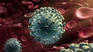 Tìm hiểu về Virus Corona ( COVID- 19)- Thời gian xuất hiện, Nguồn gốc xuất sứ.