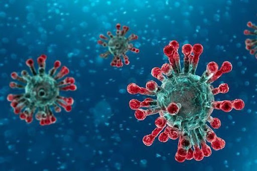 Tìm hiểu về Virus Corona ( COVID- 19)- Thời gian xuất hiện, Nguồn gốc xuất sứ.